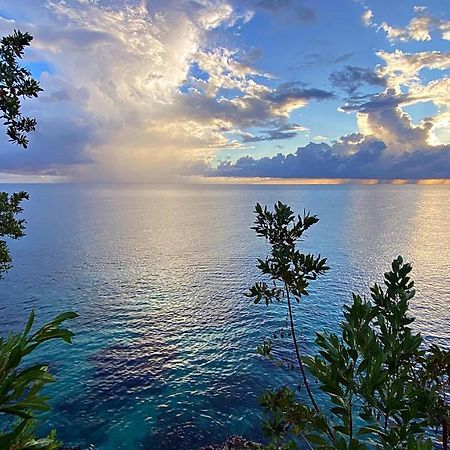 Oceanfront Condo W/ Free Parking + High Speed Wifi Negril Kültér fotó