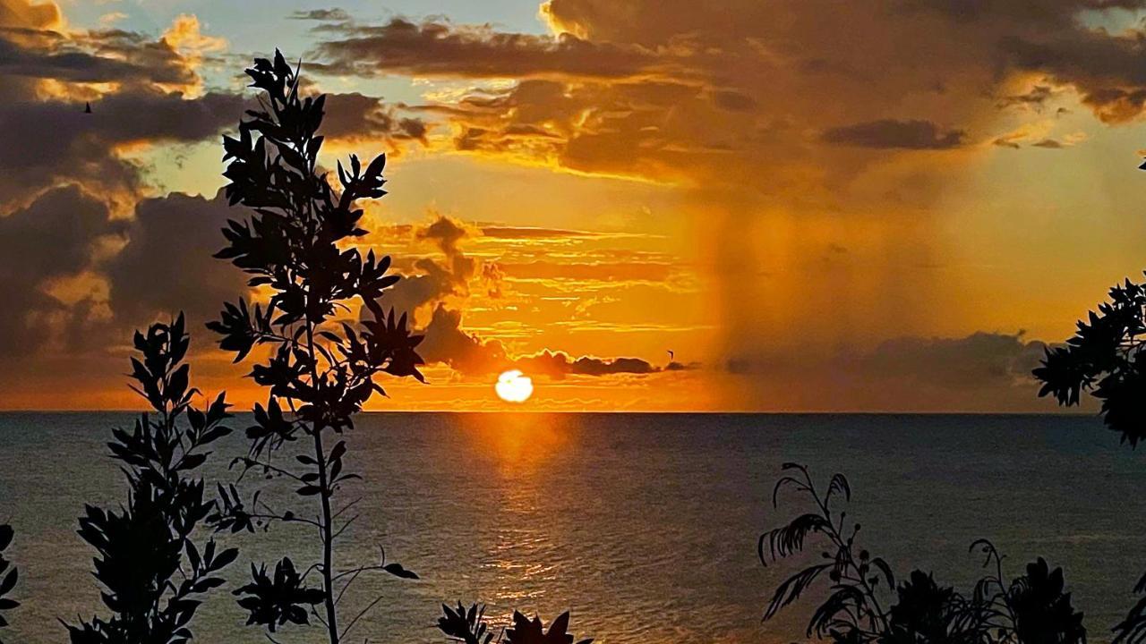 Oceanfront Condo W/ Free Parking + High Speed Wifi Negril Kültér fotó